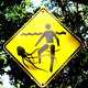 How Australia warns people about box jellyfish.